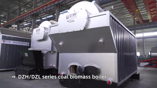 Dzl Model 0.7 1.4 2.8 4.2 5.6 7 10 14 MW Coal Biomass Wood Firewood Fired Central Heating Hot Water Boiler for Greenhouse Sport Hall School Community Building