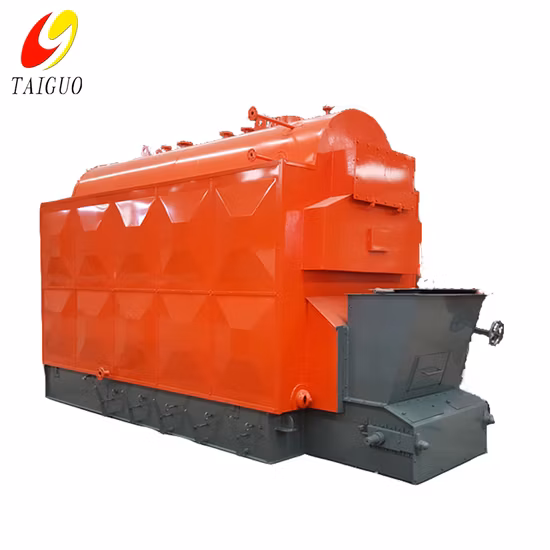 Best Dzl Biomass Boiler or Coal Fired Steam Boiler and Hot Water for Sale